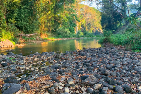 Земельный участок в Чиангмае, Таиланд 32000м2  № 147164 - фото 11