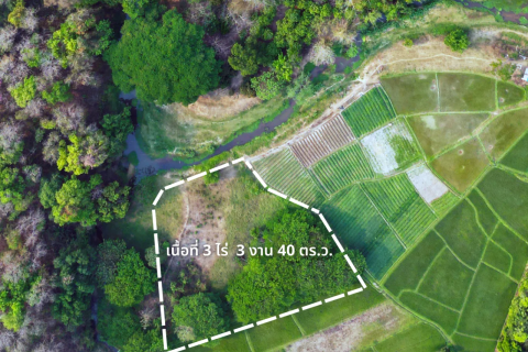 Земельный участок в Чиангмае, Таиланд 32000м2  № 147164 - фото 3