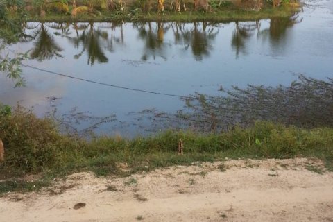 Maison à Nakhon Phanom, Thaïlande 2 chambres № 173609 - photo 5