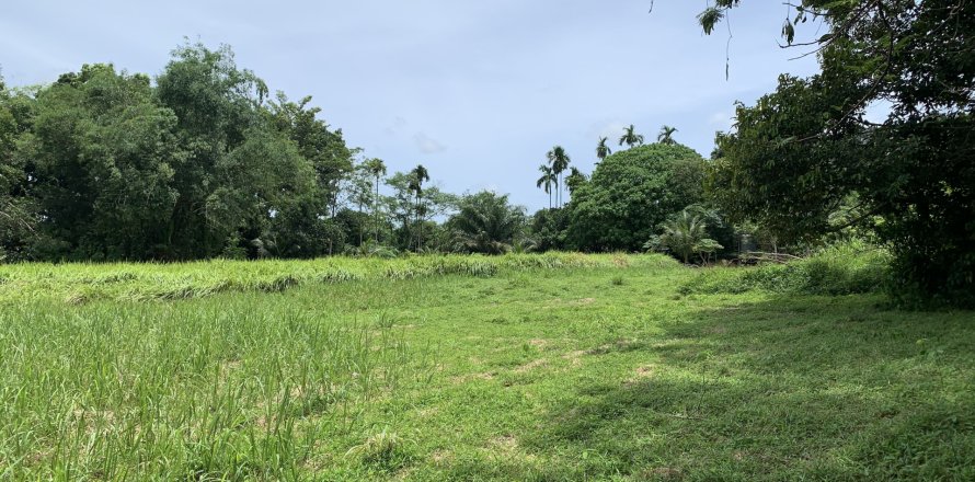 Terrain à Phuket, Thaïlande 11200 m2 № 162008