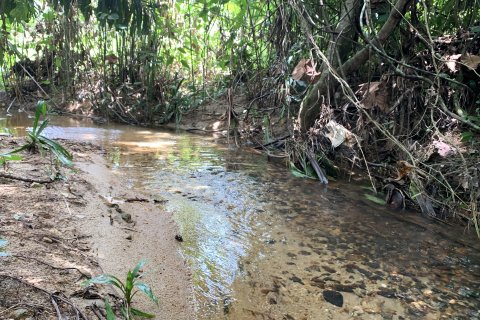 Terrain à Phuket, Thaïlande 11200 m2 № 162008 - photo 7