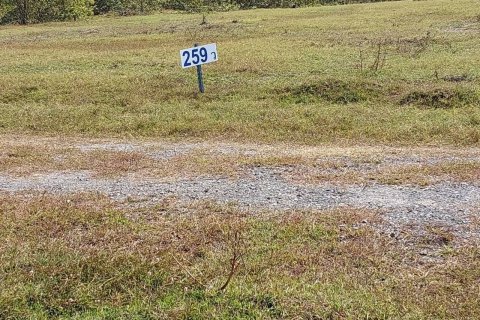 Terrain à Lopburi, Thaïlande 5880 m2 № 162011 - photo 3