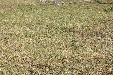 Terrain à Lopburi, Thaïlande 5880 m2 № 162011 - photo 5