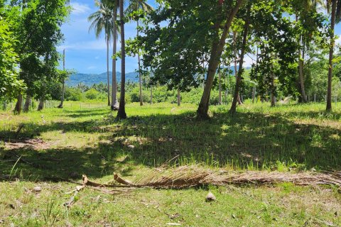 Land in Ko Samui, Thailand 3200 sq.m. № 138140 - photo 6