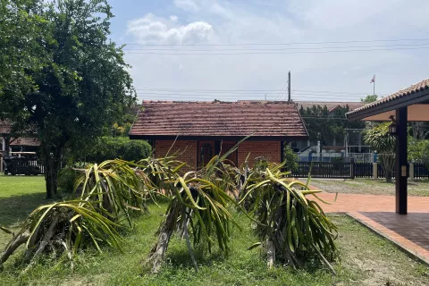 Maison à Ban Tak, Thaïlande 3 chambres № 139614 - photo 2