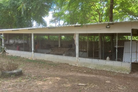 Отель в Удонтхани, Таиланд № 139619 - фото 27