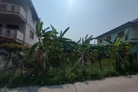 Земельный участок в Паттайе, Таиланд 204м2  № 148287 - фото 2