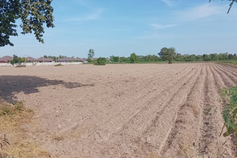 Земельный участок в Чаченгсау, Таиланд 39040м2  № 150276 - фото 5