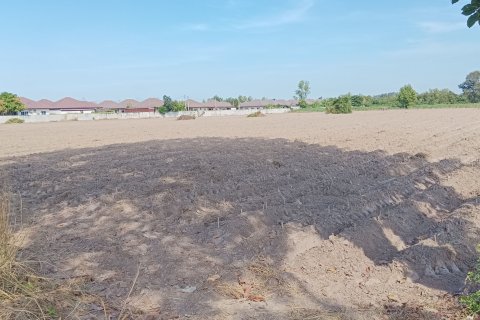 Земельный участок в Чаченгсау, Таиланд 39040м2  № 150276 - фото 4