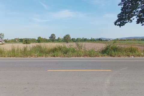 Земельный участок в Чаченгсау, Таиланд 39040м2  № 150276 - фото 3