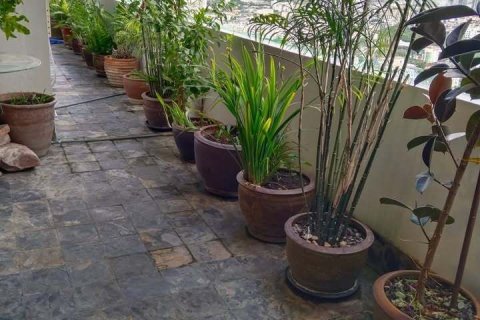 Кондоминиум с 4 спальнями в Ваттхане, Бангкок, Таиланд № 154051 - фото 11