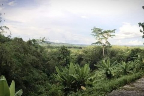 Land in Pa Klok, Thailand 5841 sq.m. № 191240