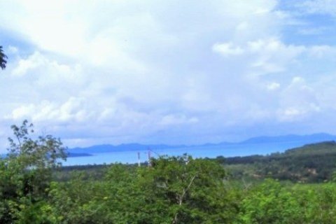 ที่ดินในป่าคลอก, ประเทศไทย 3184 ตร.ม. № 191241 - รูปถ่าย 5