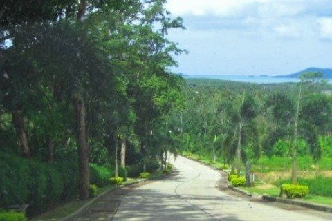 Land in Pa Klok, Thailand 3184 sq.m. № 191241