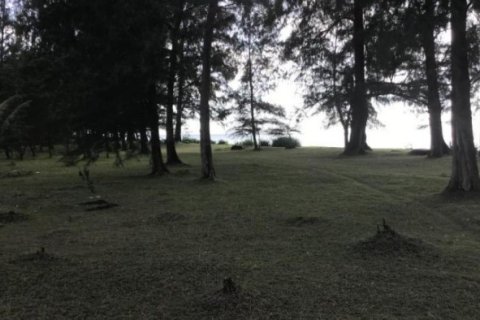 ที่ดินในพังงา, ประเทศไทย 59200 ตร.ม. № 191243 - รูปถ่าย 4