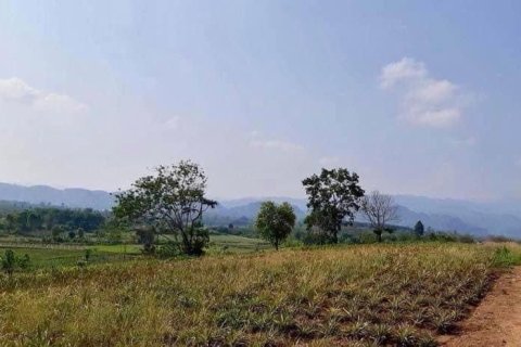 Land in Mae Chan, Thailand 5520 sq.m. № 164162 - photo 14