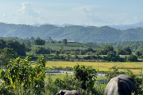 Land in Mae Chan, Thailand 5520 sq.m. № 164162 - photo 15