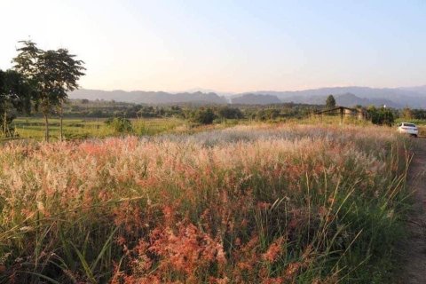 Land in Mae Chan, Thailand 5520 sq.m. № 164162 - photo 11