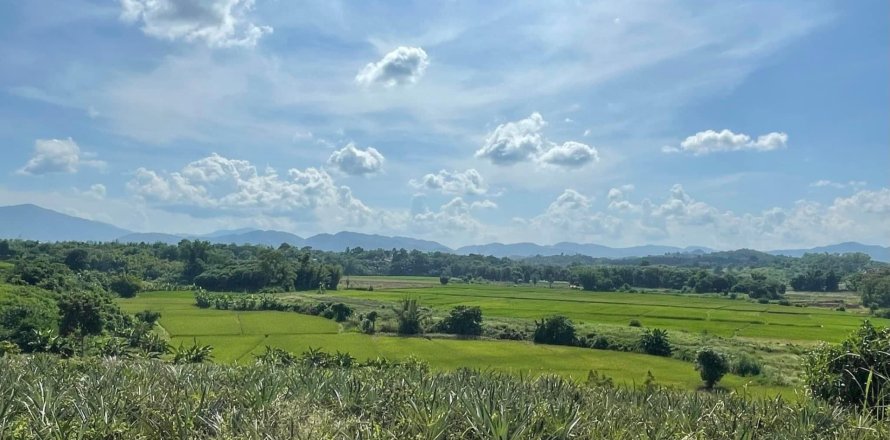 Land in Mae Chan, Thailand 5520 sq.m. № 164162