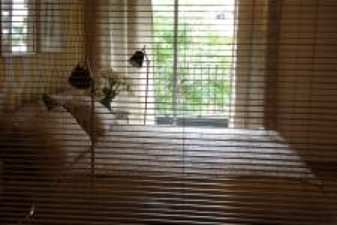 Кондоминиум с 1 спальней в Бангкоке, Таиланд № 144082 - фото 6