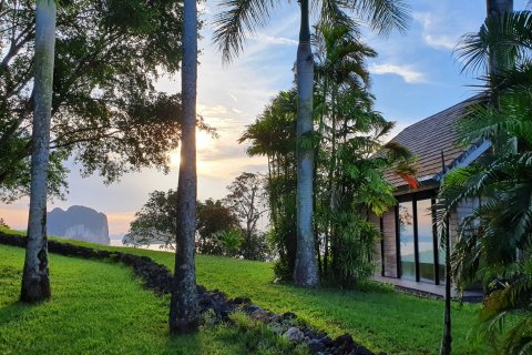 Villa in Ao Luek, Thailand 7 bedrooms № 137578 - photo 12