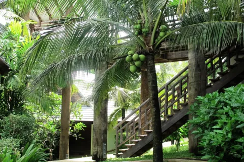 Villa à Ao Luek, Thaïlande 7 chambres № 137578 - photo 24