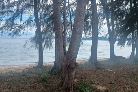 Terrain à Ko Samui, Thaïlande 1600 m2 № 151630 - photo 6