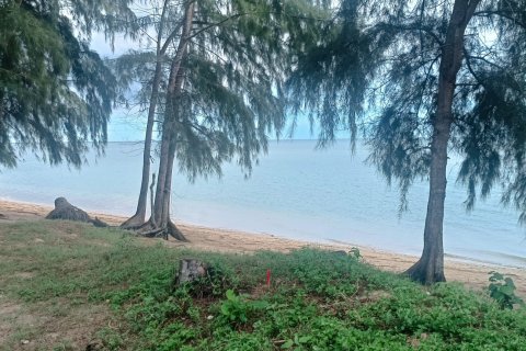 Terrain à Ko Samui, Thaïlande 1600 m2 № 151630 - photo 4