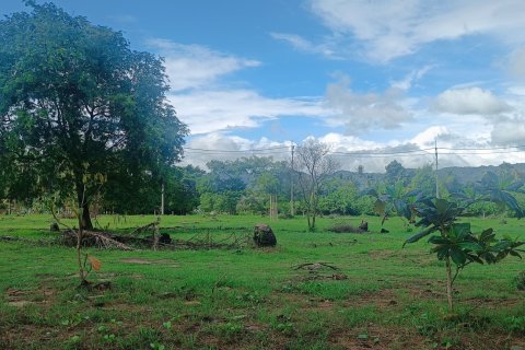 Terrain à Ko Samui, Thaïlande 1600 m2 № 151630 - photo 3