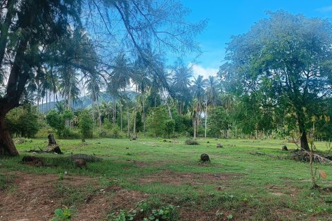 Terrain à Ko Samui, Thaïlande 1600 m2 № 151630 - photo 2