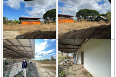 Land in Phayao, Thailand 36800 sq.m. № 136222 - photo 4