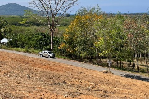 Земельный участок в Май Кхао, Таиланд 10000м2  № 141996 - фото 3