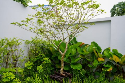 Вилла в Паттайе, Таиланд с 3 спальнями  № 159902 - фото 27