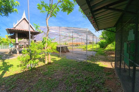 Terrain à Phuket, Thaïlande 2236 m2 № 152734 - photo 12