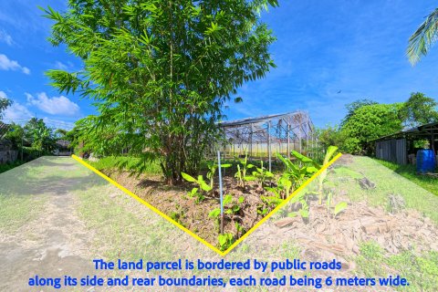 Terrain à Phuket, Thaïlande 2236 m2 № 152734 - photo 3