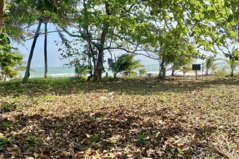 Terrain à Prachuap Khiri Khan, Thaïlande № 146999 - photo 4