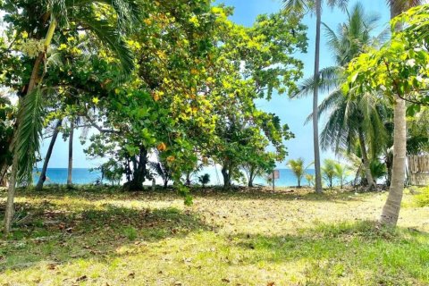 Terrain à Prachuap Khiri Khan, Thaïlande № 146999 - photo 10
