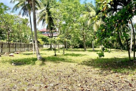 Terrain à Prachuap Khiri Khan, Thaïlande № 146999 - photo 5