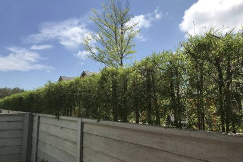 Дом в Чалонге, Таиланд с 3 спальнями  № 146993 - фото 6