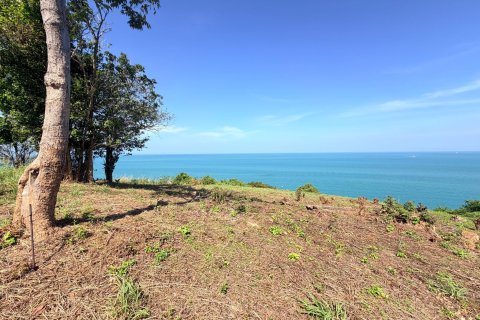 Terrain à Ko Samui, Thaïlande 1300 m2 № 156870 - photo 16