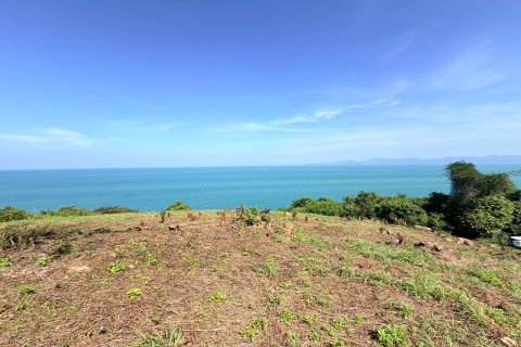 Terrain à Ko Samui, Thaïlande 1300 m2 № 156870 - photo 15