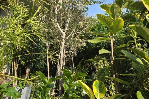 Villa à Hua Hin, Thaïlande 3 chambres № 156872 - photo 21