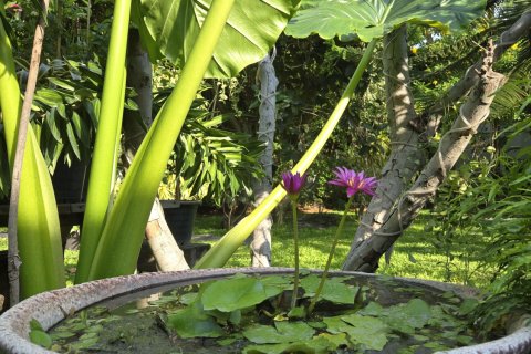 Villa à Hua Hin, Thaïlande 3 chambres № 156872 - photo 20