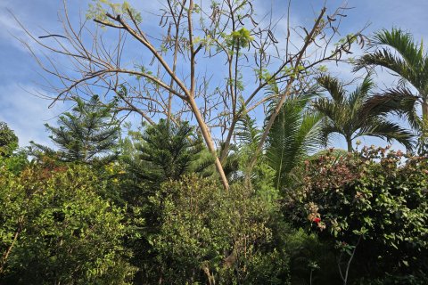 Villa à Hua Hin, Thaïlande 3 chambres № 156872 - photo 18