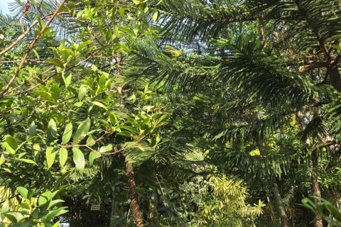 Villa à Hua Hin, Thaïlande 3 chambres № 156872 - photo 13