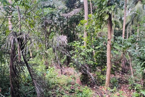 Terrain à Ko Samui, Thaïlande 12800 m2 № 156868 - photo 10