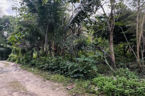 Terrain à Ko Samui, Thaïlande 12800 m2 № 156868 - photo 2