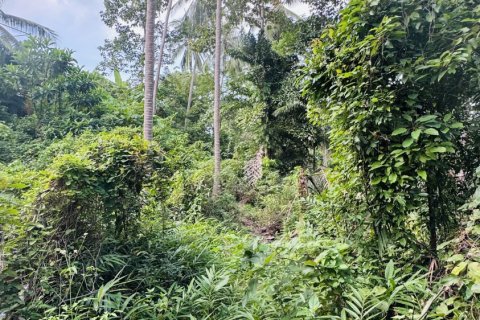 Terrain à Ko Samui, Thaïlande 12800 m2 № 156868 - photo 11