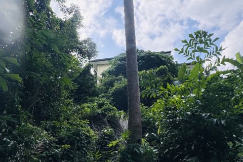 Terrain à Ko Samui, Thaïlande 12800 m2 № 156868 - photo 12