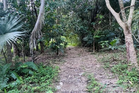 Terrain à Ko Samui, Thaïlande 12800 m2 № 156868 - photo 5